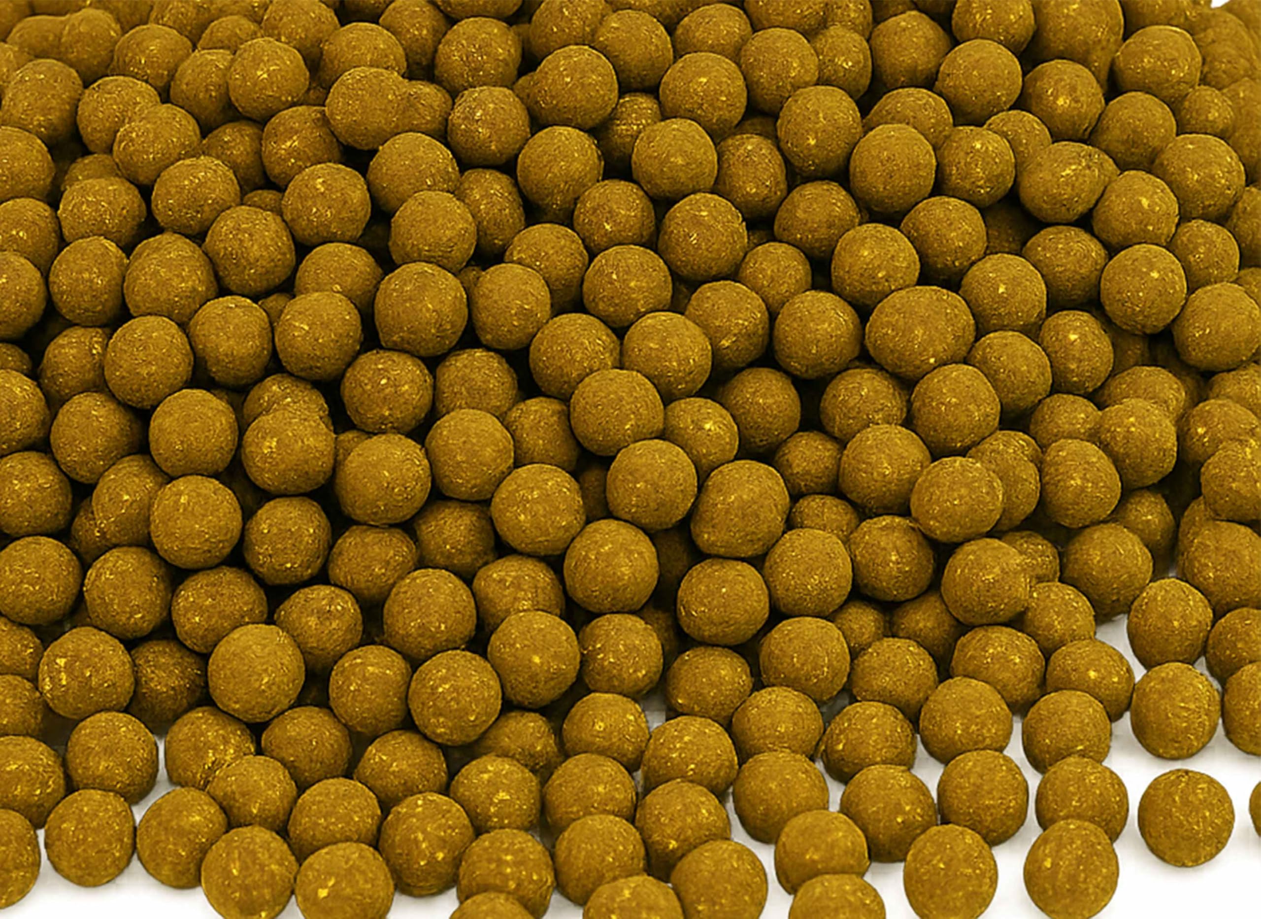 Faith A-Prime Boilies 5 kg Scopex Royale 20 mm - Mit Frischen Eiern - High Energie Natürlich haltbar