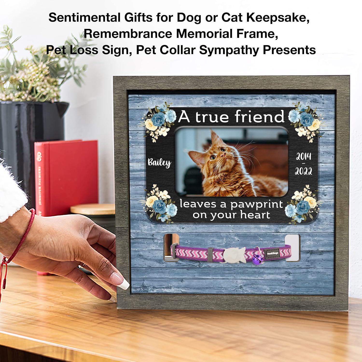 Personalized Cat Collar Frame Memorial Pet Loss Sign Cat Lovers Ever Pet Gifts Sentimental Quote For Someone Who Lost Cats Collar Keepsake Picture Remembrance Home Decor Dog Cat Passing Away