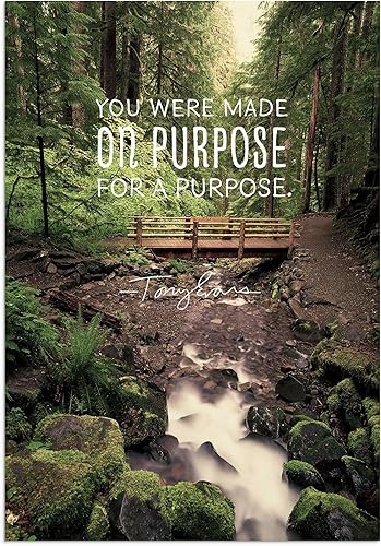 Miniatura 9 de DaySpring - Tony Evans - You Were Made for a Purpose - Surtido de 4 diseños con las Escrituras - 12 tarjetas y sobres en caja de cumpleaños (18562)