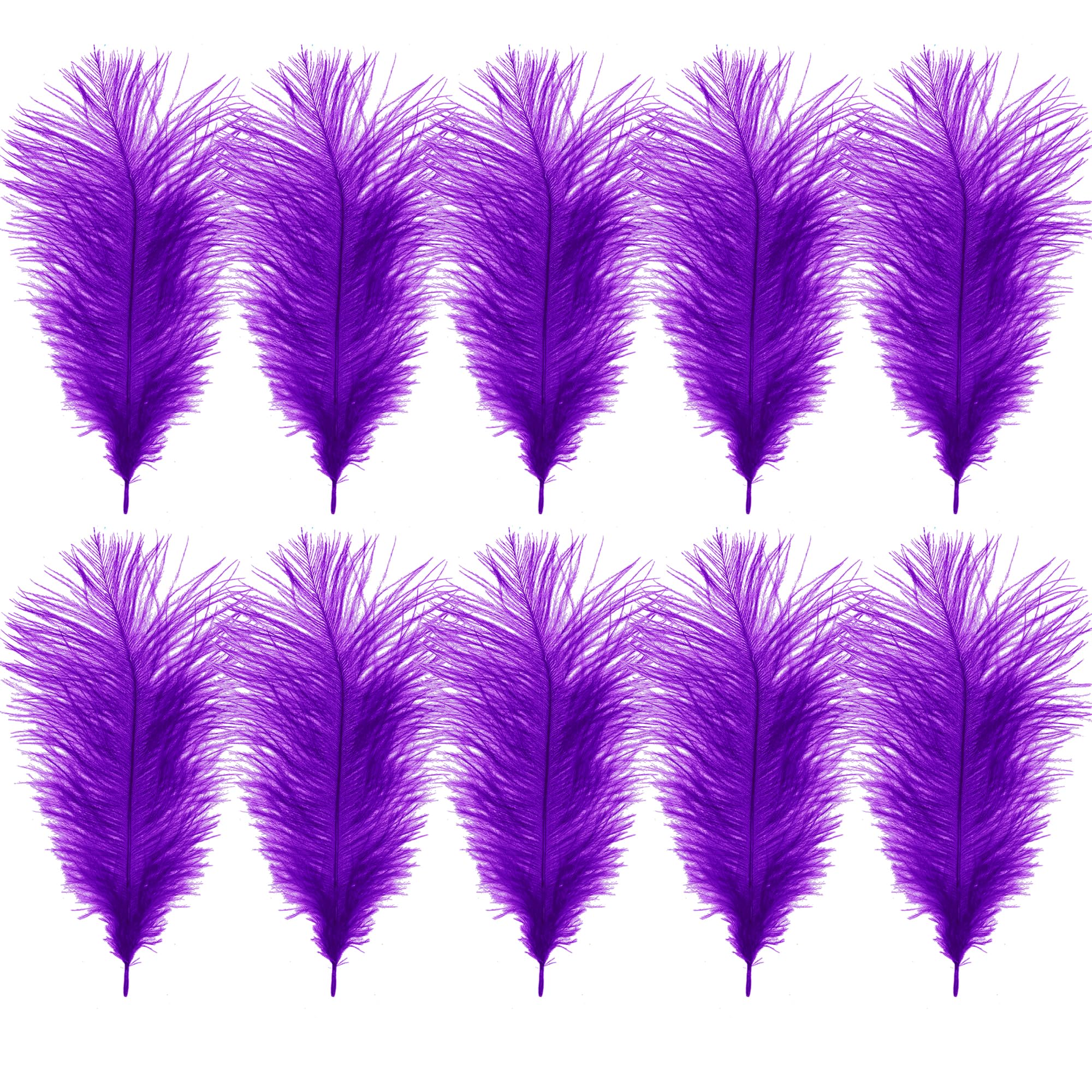 WedDecor Purple Natural Ostrich Feathers 14-16" (35-40cm) Long for Wedding Centrepieces, Home, Decorating Costumes, Embellishment, Art & Craft, Parties, Pack of 10