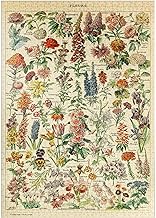 MyPuzzle Fleurs - des Fleurs pour Tous, Affiche d'art Vintage, Adolphe Millot - Premium 1000 Pièces Puzzle - Collection spéciale MyPuzzle de Havana Puzzle Company