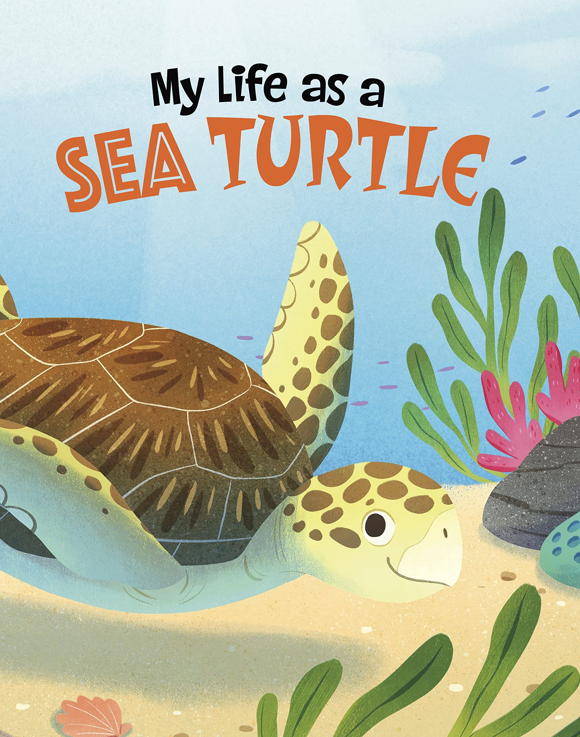My Life as a Sea Turtle by John Sazaklis PAPERBACK 9781398248922