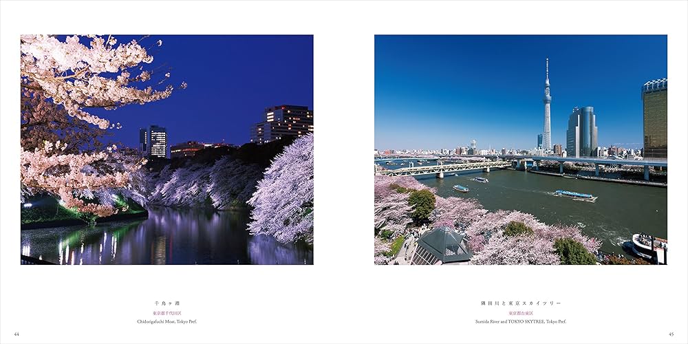 森田賢、【桜咲く】、希少な額装用画集より、状態良好、新品額装付 咲き誇る、青春。」櫻坂46・森田ひかるが表紙を飾る新スタイル