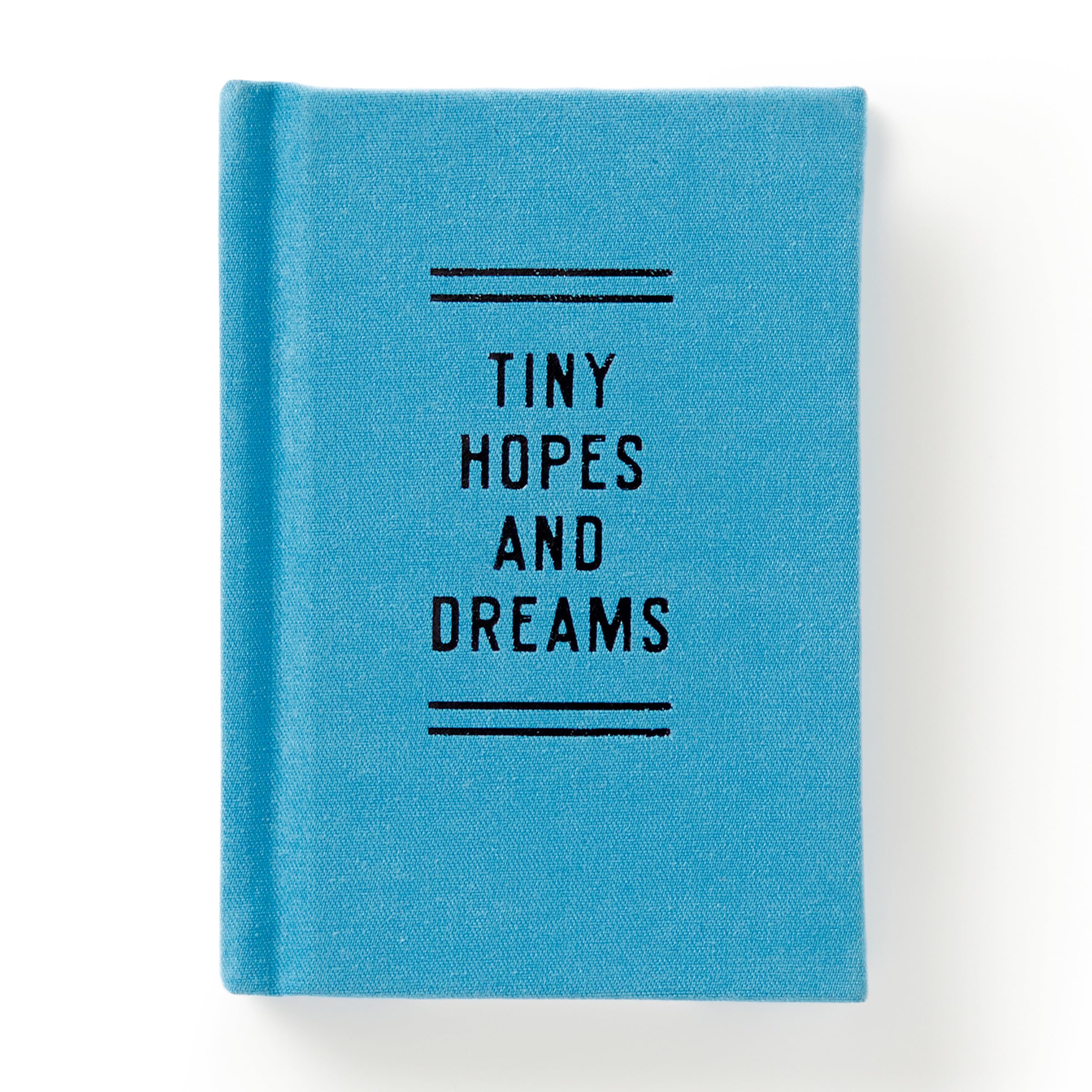 Tiny Hopes And Dreams Tiny Diary by Brass Monkey (Diary or journal)