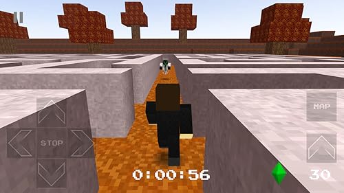 Pixel Labyrinth