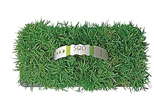 SodPods® Zoysia Grass Plugs: Effortless, Affordable Lawn Transformation (64 Plugs)