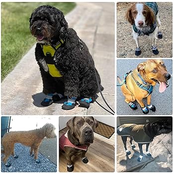 Zanarzt Little Kids Organic Cotton Socks Boys Girls Socks Breathable