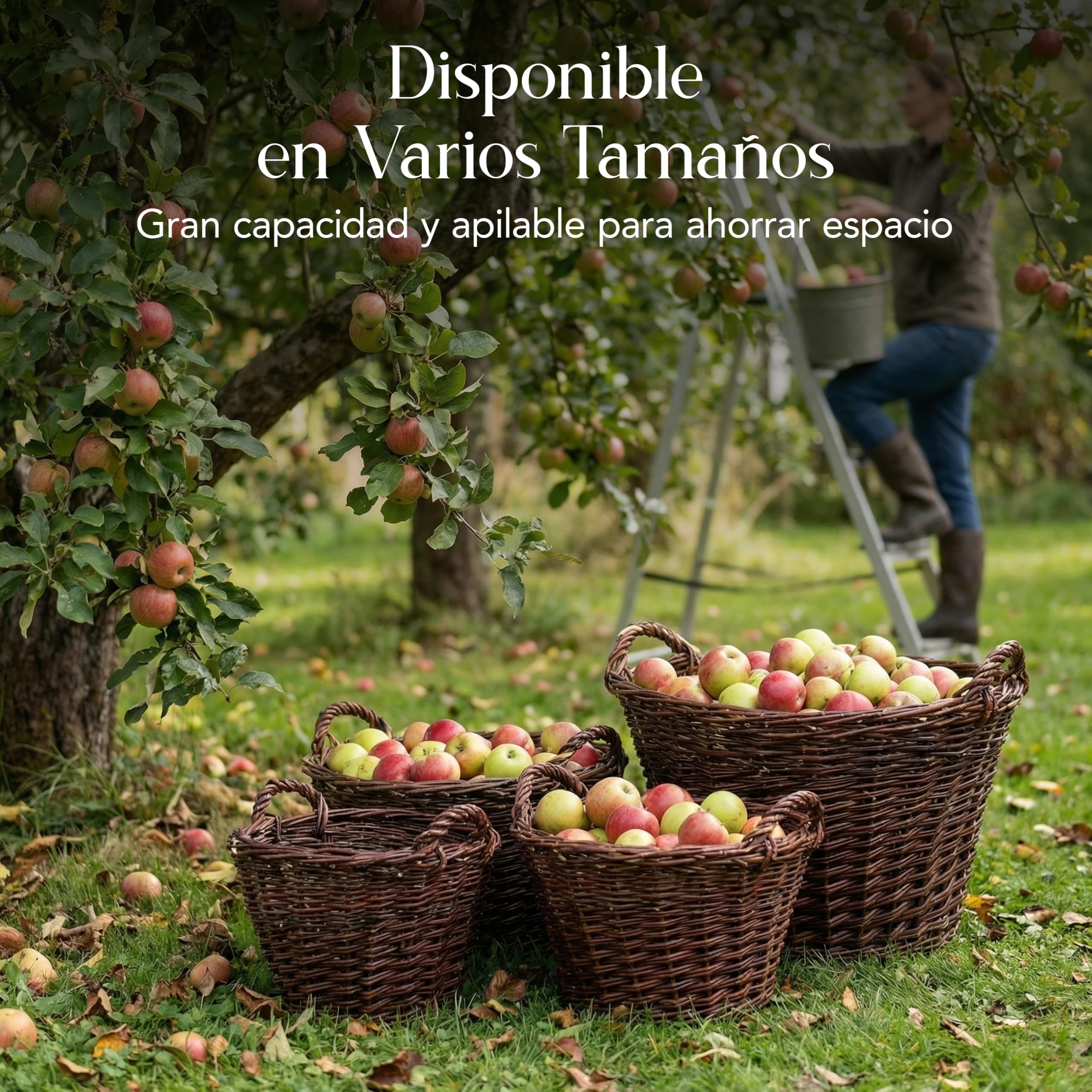 Creative Home Cesta de Mimbre con Asas | Grande 47x33x39cm (+/- 1cm) | Tejida a Mano Duradera | Cesta de Leña Patatas Frutas Setas Juguetes Ropa Sucia Jardín | Sauce Grueso Marrón Natural | Multiuso