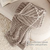 Vista 197 de Bedsure GentleSoft Twin Blanket for Couch - Cozy Soft Blankets for Women, Cute Small Fleece Throws for Girls, Light Grey, 60x80 Inches