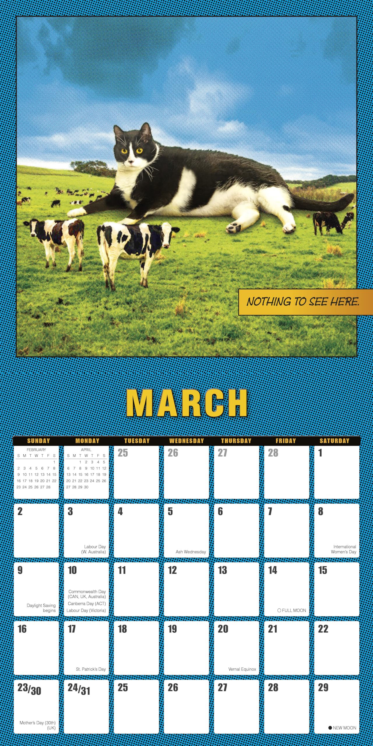Amazon.com: Catzilla 2025 Wall Calendar, 16-Month Humor & Comic