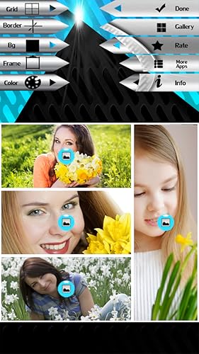 Colagem de Foto de Daffodils