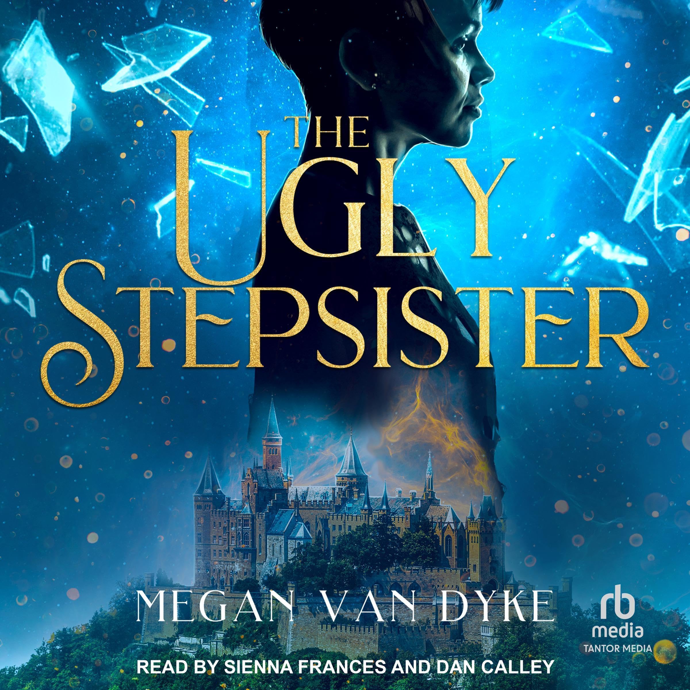 Cover art for The Ugly Stepsister