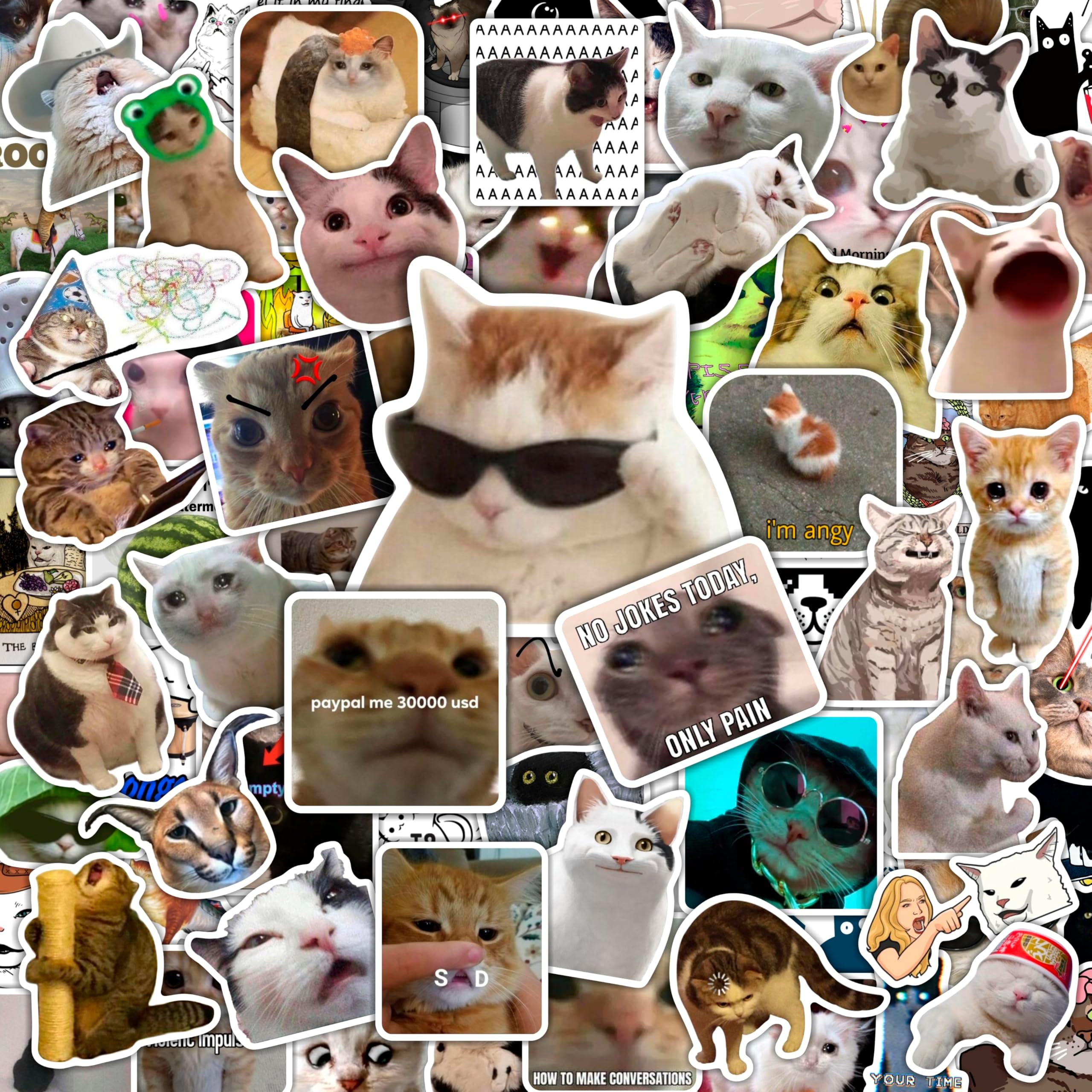BulbaCraft 100Pcs Cat Meme Stickers - Funny Cat Stickers, Gifts for Women & Men