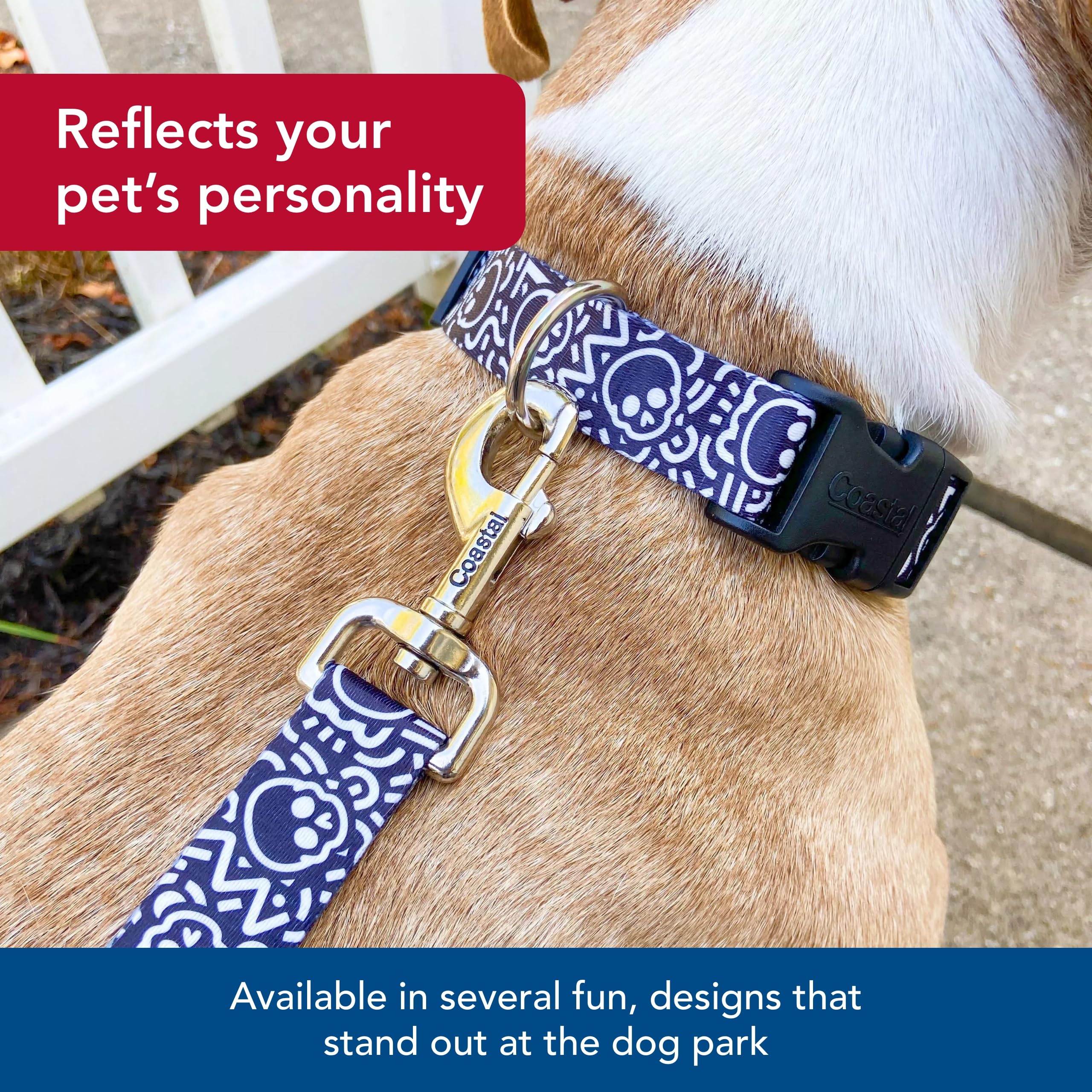 Amazon.com : Coastal Pet Styles Adjustable Dog Collar - Stylish