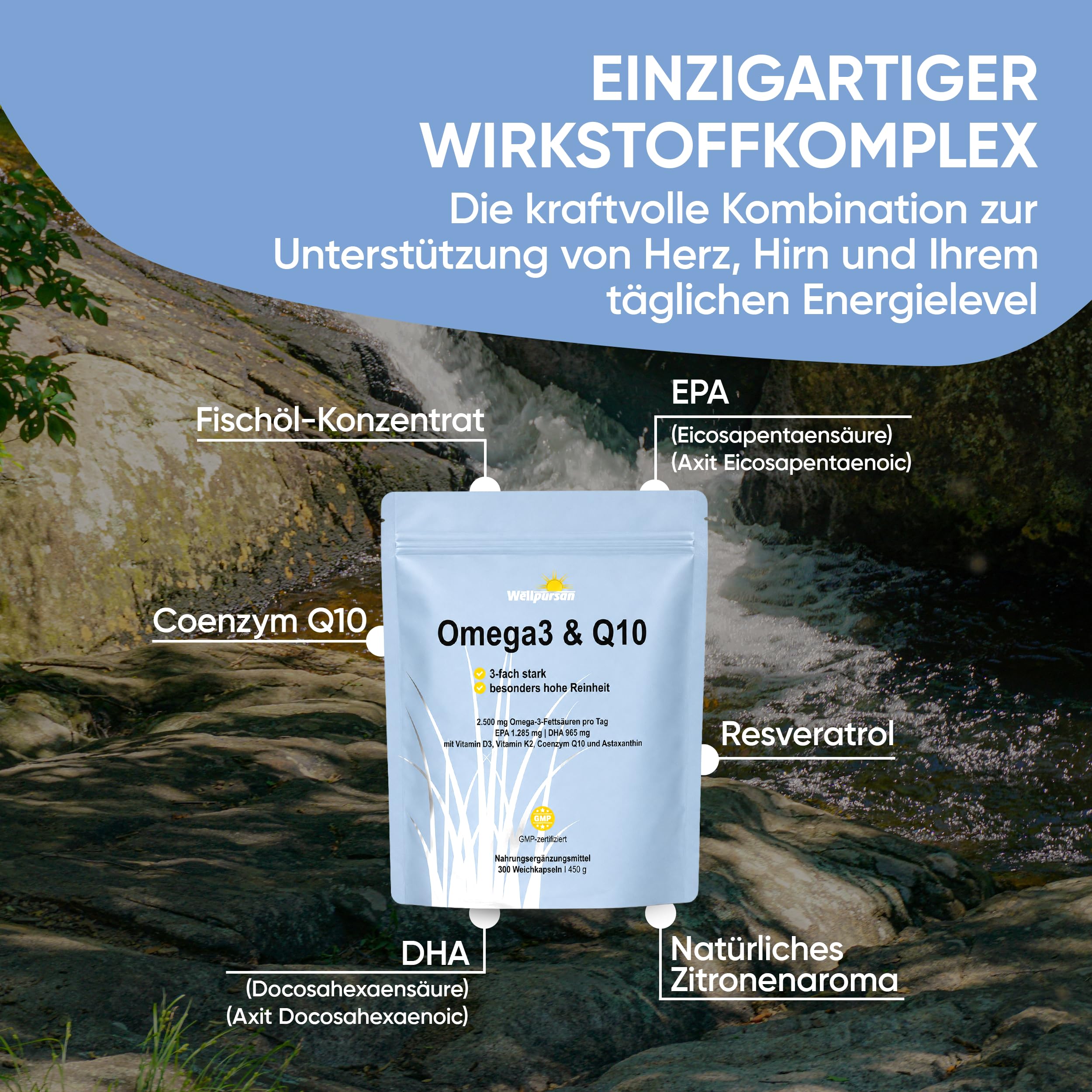 Wellpursan Omega Q10 Plus - 180 Kapseln premium Omega-3 Fettsäuren Kapseln mit 2100mg Fischöl pro Tagesdosis (davon 378mg EPA & 252mg DHA), zusätzlich angereichert mit Vitaminen