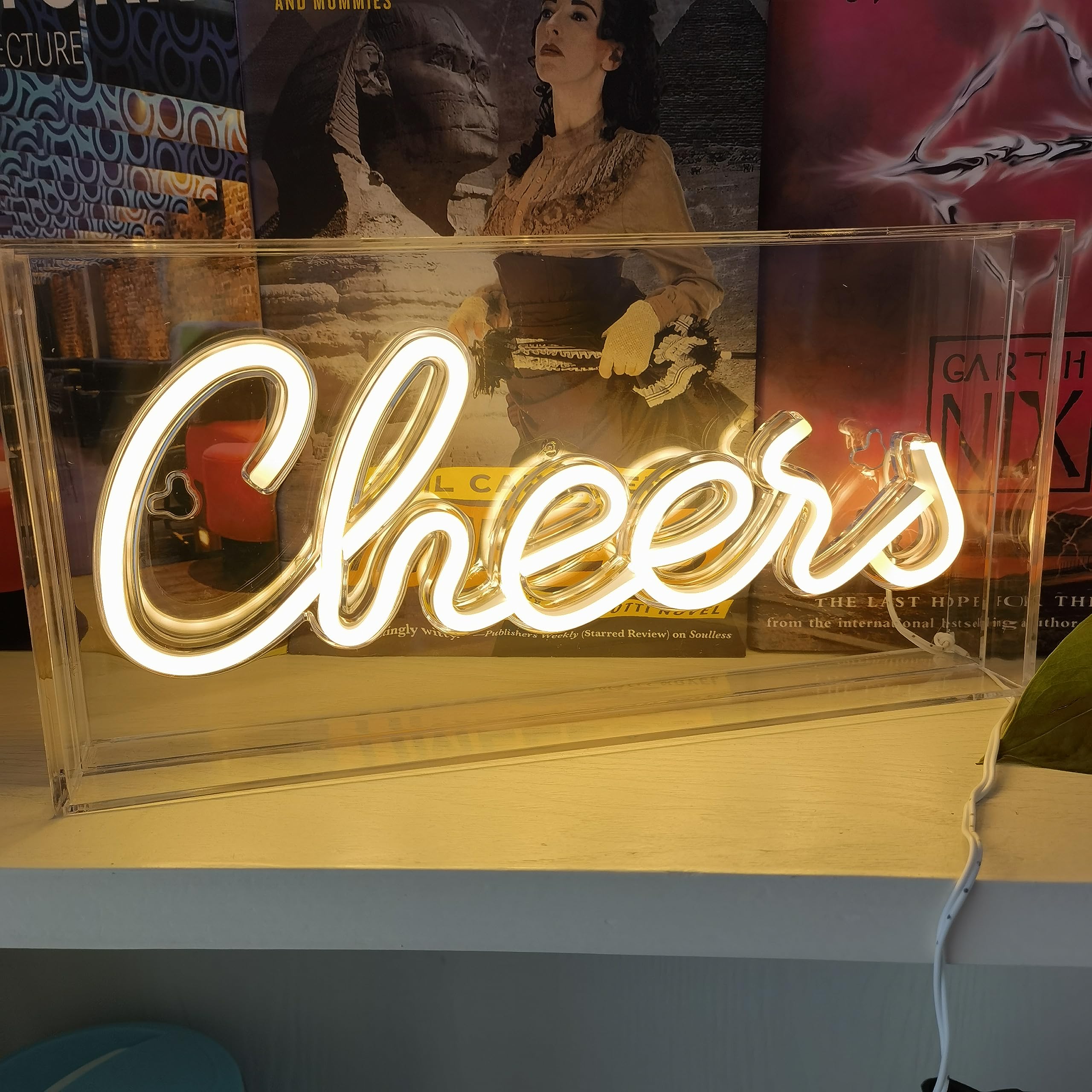 Cheers Neon Sign, LED Neon Cheers, 3D Art Light Box Cheers Neon Sign for Table Decor, Wall Decor, Bar, Pub, Bachelorette Party Cheers Neon Sign, USB Powered 11.8x5.9x1.85 Inches (Warm White)