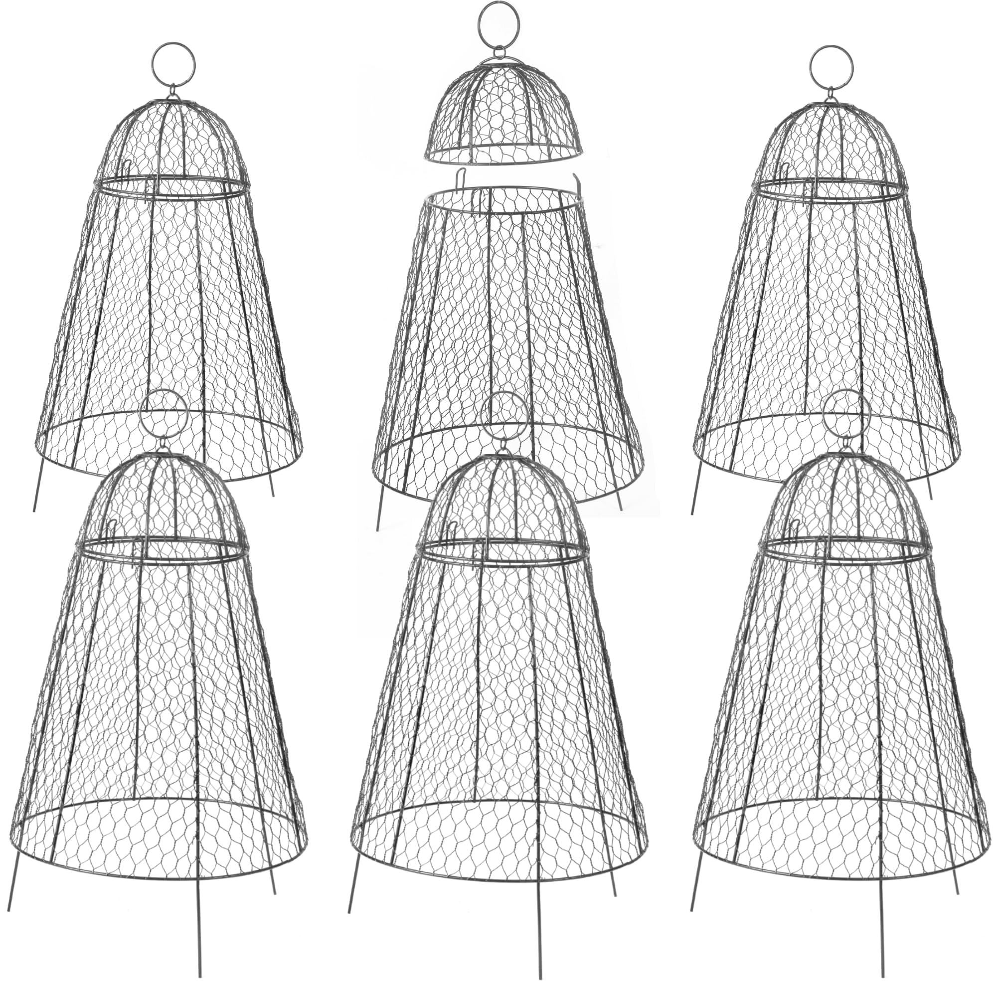 The Best Cloches for Safeguarding Tender Plants: Top Picks for Winter Protection - PlantNative.org 914fvhOM+5L