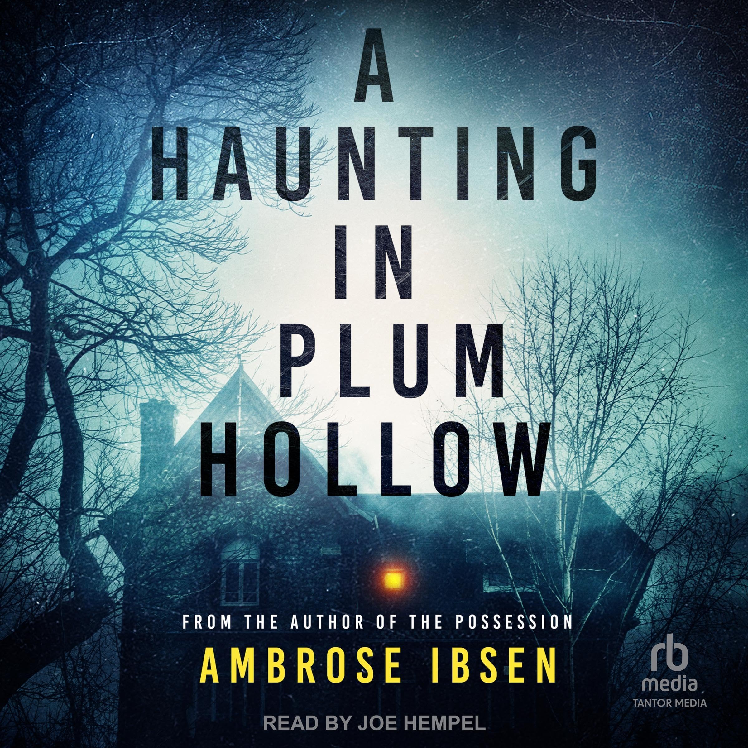 Cover art for A Haunting in Plum Hollow