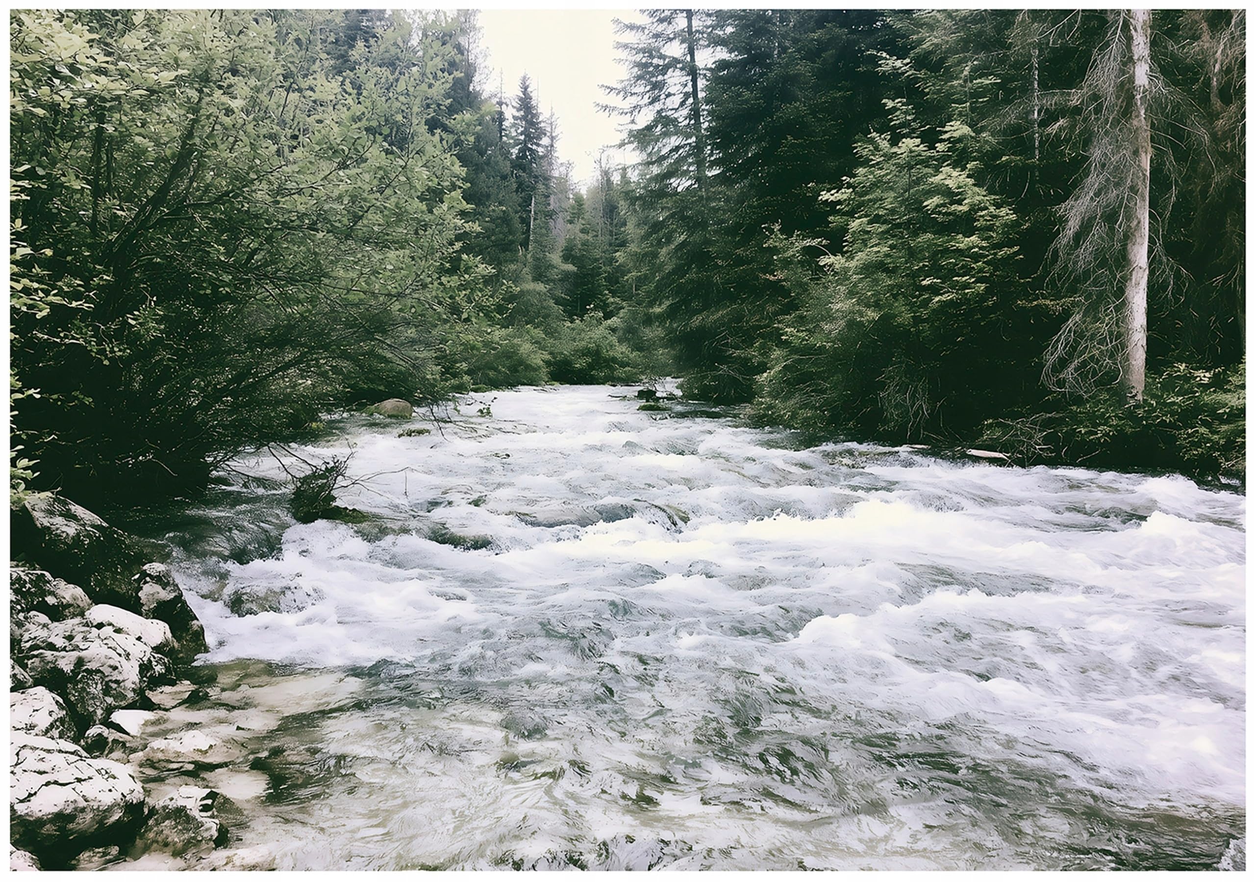 Wallarena River Green Non-Woven Photo Wallpaper 300 X 210 Cm