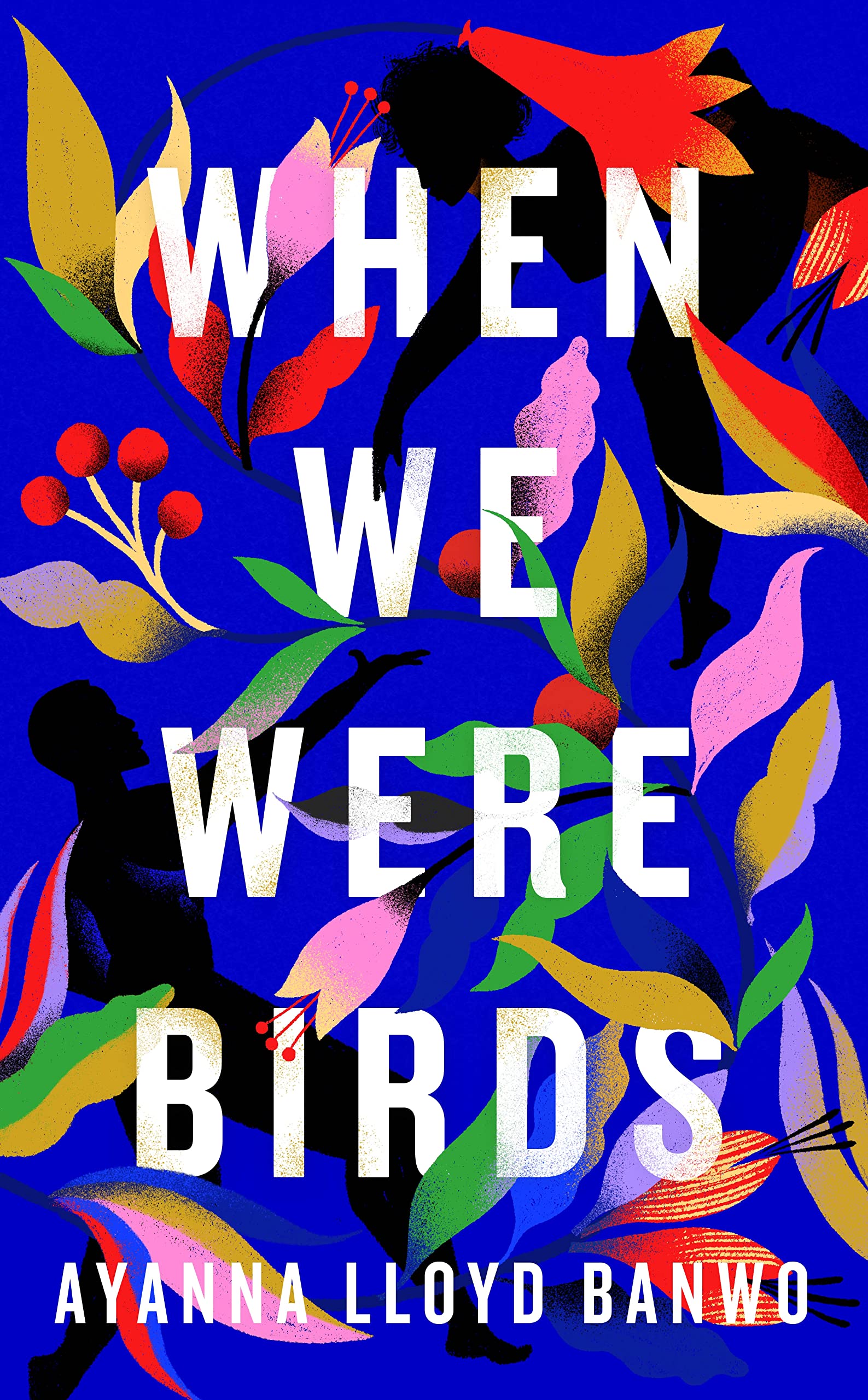 Buy When We Were Birds — BookShops.in