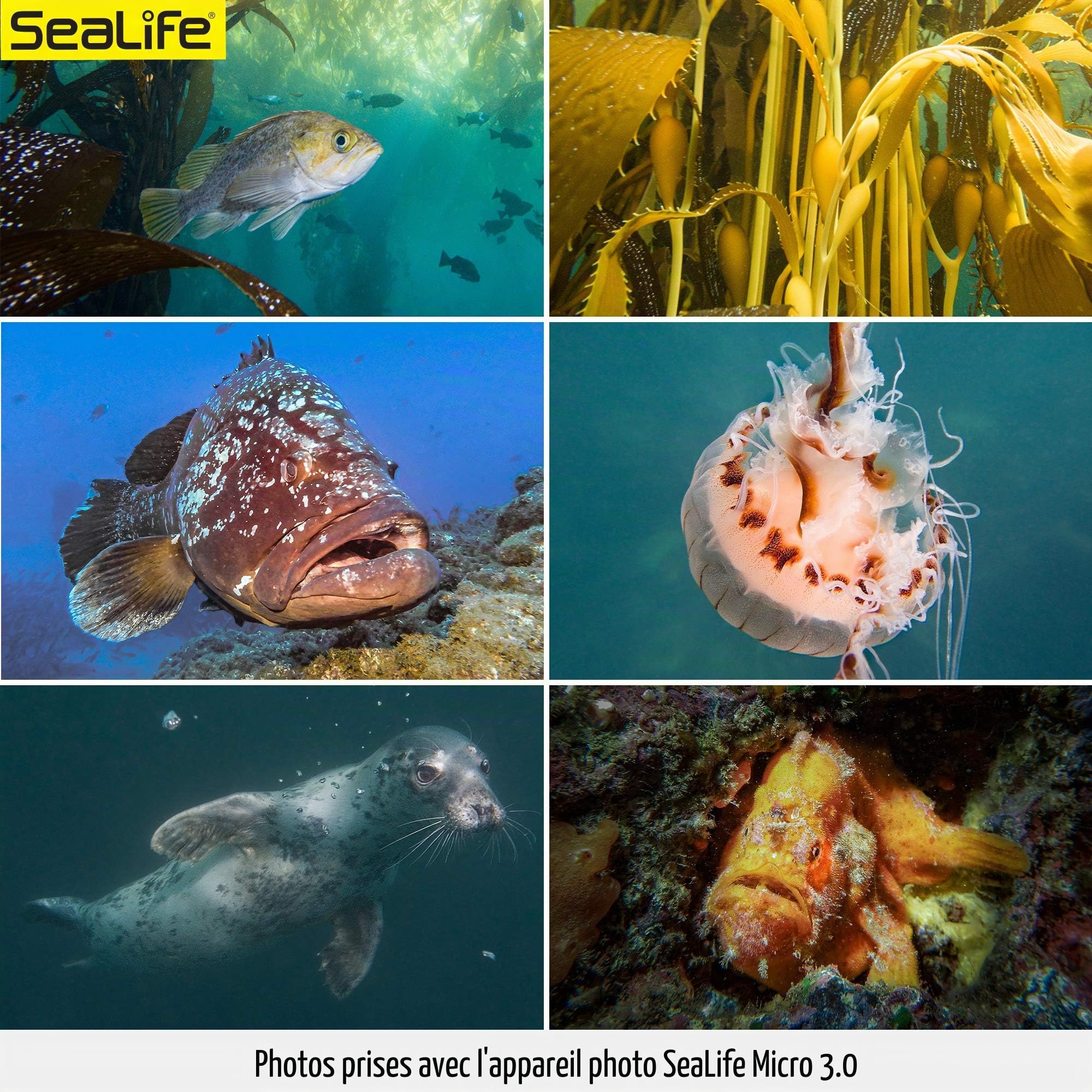 Sealife Micro 3.0 64 Go
