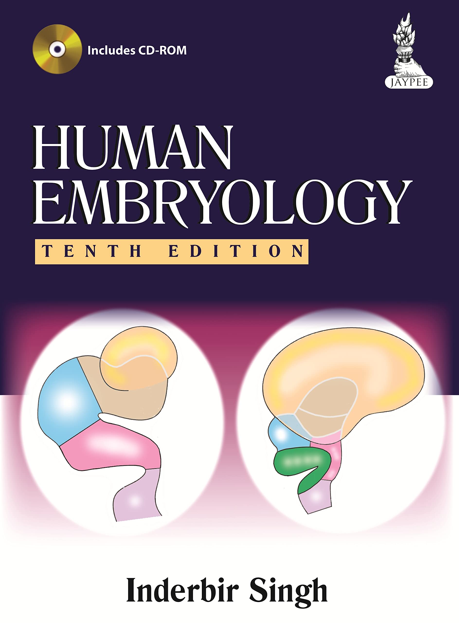 Image of (OLD EDITION) Inderbir Singh's Human Embryology
