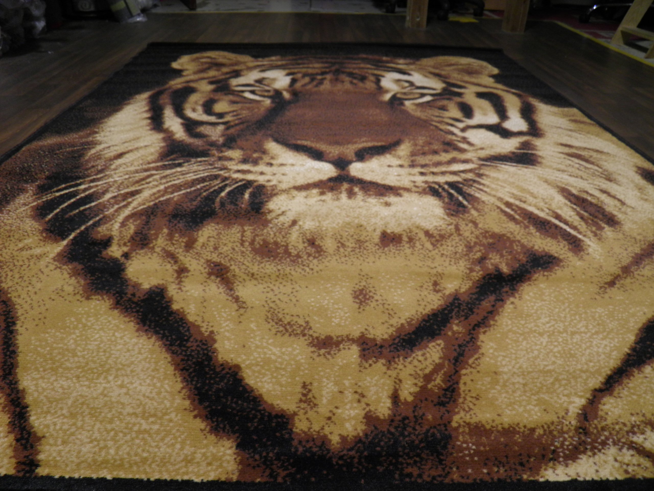 160cm x 230cm (Approx 8x5) Rugs