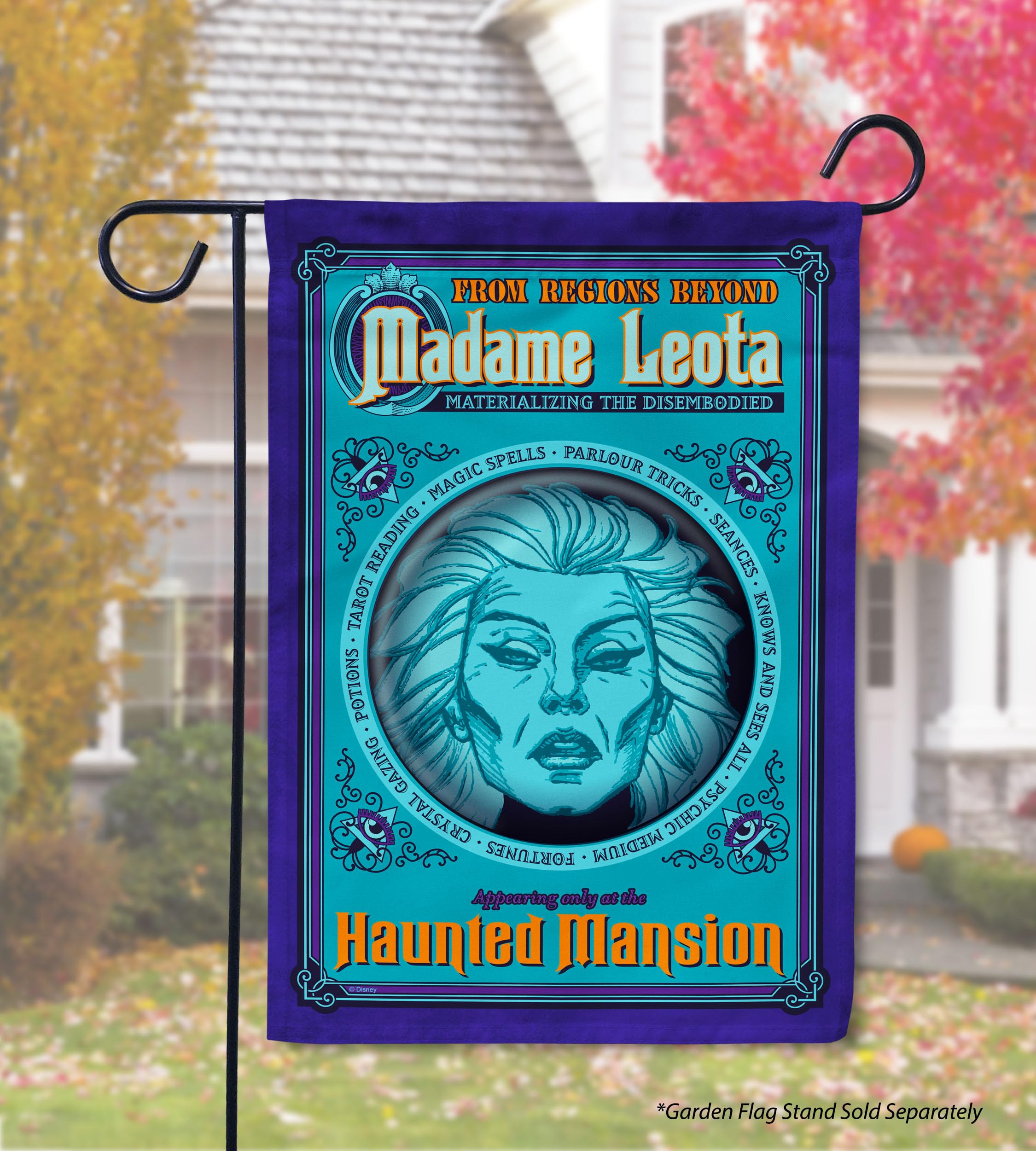 マニー　タペストリー Amazon.com : Flagology, Disney The Haunted Mansion Madame Leota