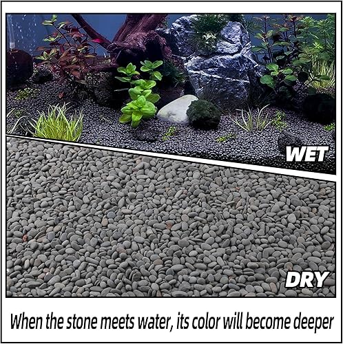 Miniatura 4 de CJGQ Grava de acuario de 18 libras para plantas, rocas decorativas de río para suculentas, cactus al aire libre, jardín paisajismo, rocas de