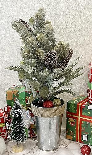 Miniatura 4 de Admired by Nature Coníferas esmeriladas de 20 pulgadas de alto con conos para decoración de Navidad, decoración del hogar, decoración de boda,
