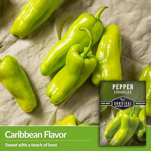 Miniatura 9 de Survival Garden Seeds - Semilla de pimiento Cubanelle para plantar - Paquete con instrucciones para plantar y cultivar pimientos caribeños dulces y