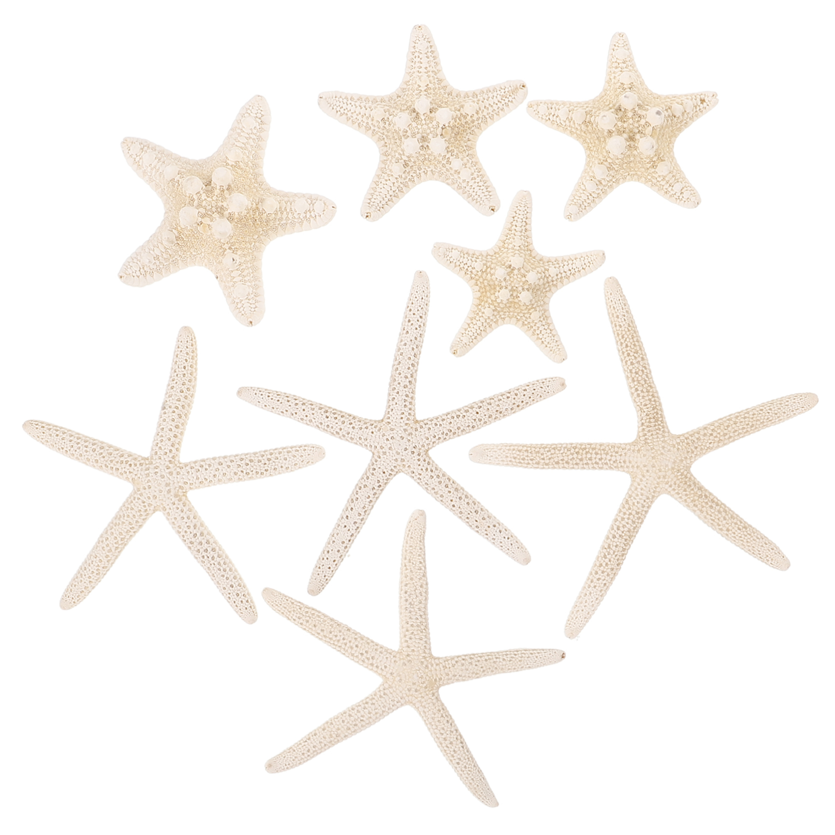 Steuben Galss スターフィッシュ ヒトデ 置物 Steuben Galss スターフィッシュ ヒトデ 置物