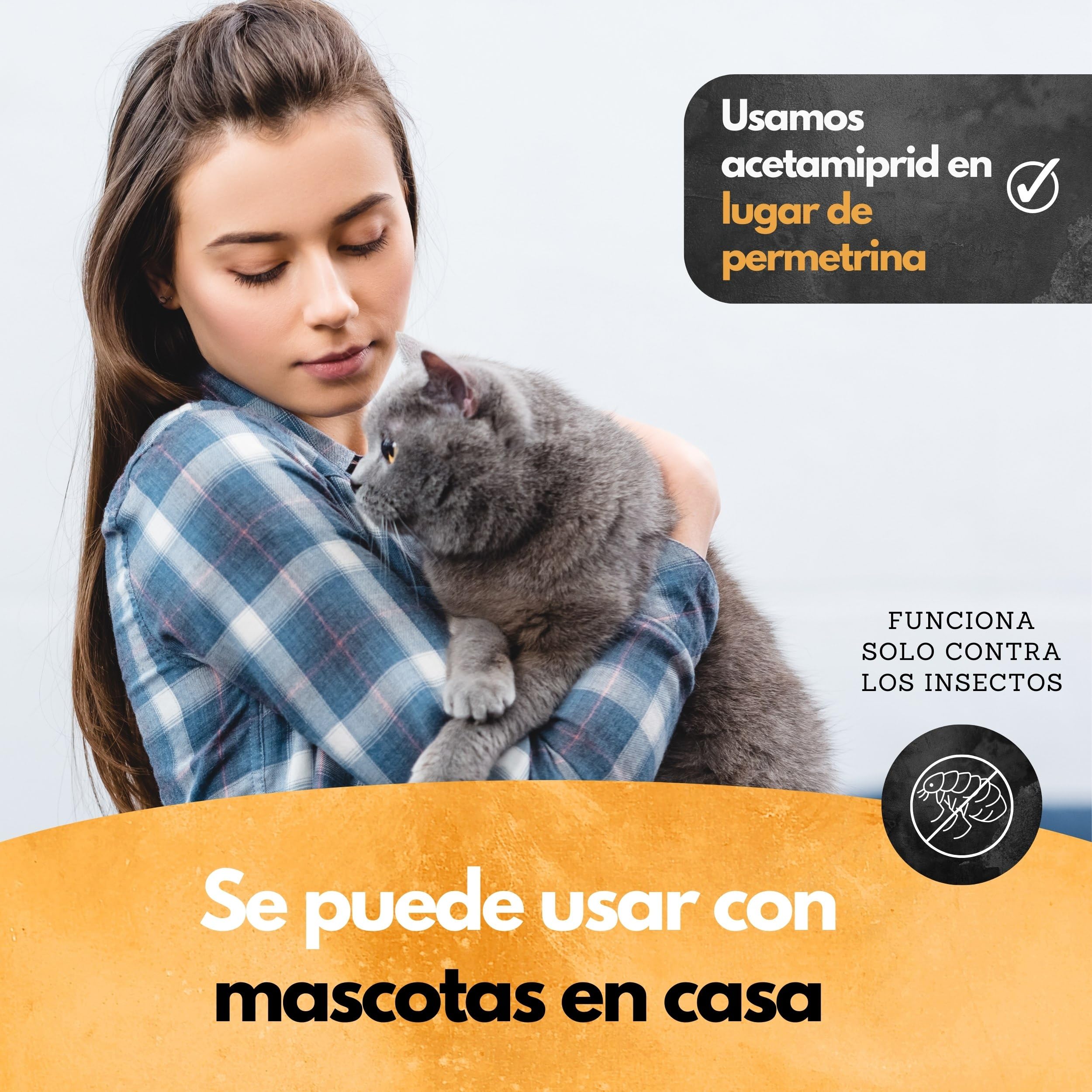 Panteer ® Spray Antipulgas 500ml - contra Las pulgas en el hogar - Sin permetrina - Altamente eficaz Gracias al acetamiprid - Fabricado en Alemania