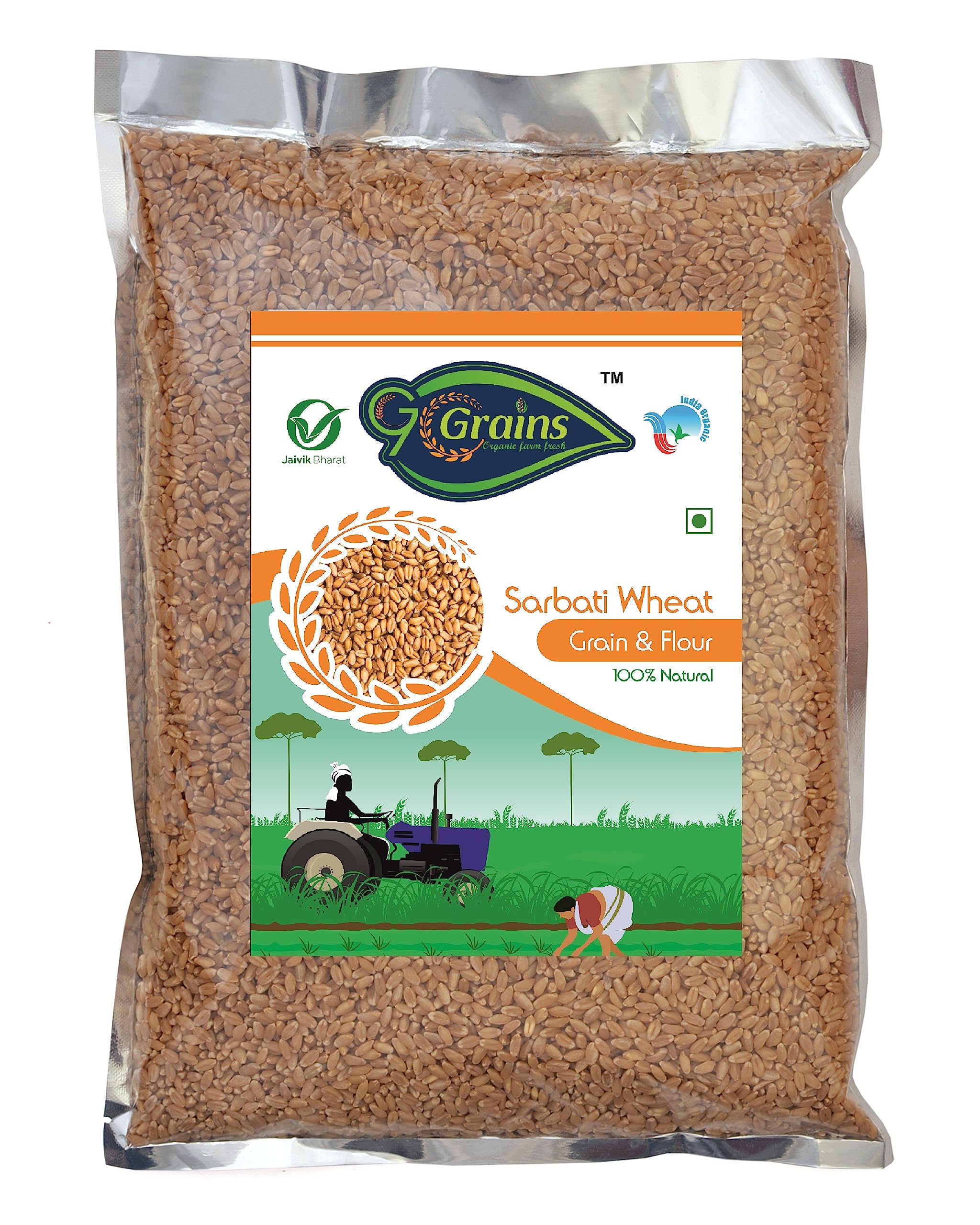 Organic Sarbati Wheat Whole Grains(10 Kg)| Whole Grains For Eating And Cooking | Premium Grains/Gehu | By G7 GRAINS