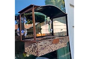 Lilyang Window Bird Feeder: Unveiling the Avian World from Your Window