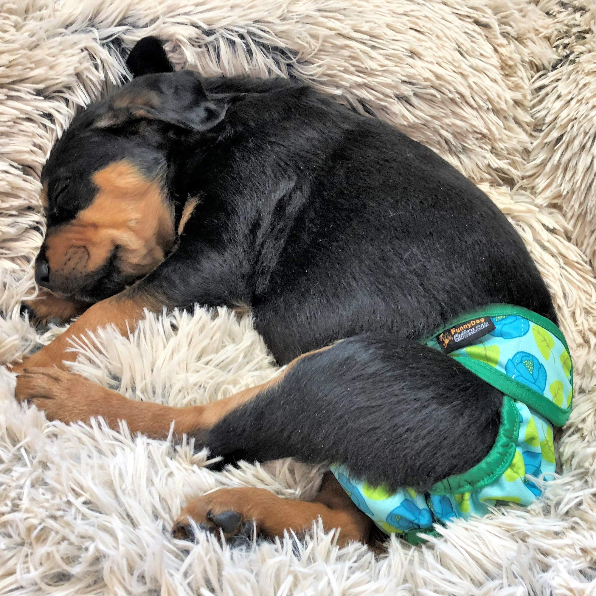 Opakowanie 3 pieluch dla kobiet z 4 warstwami chłonnych wkładek majtki dla kotów wodoodporne szczelne nadające się do prania (S: talia 30 cm - 40 cm, neonowy wzór)