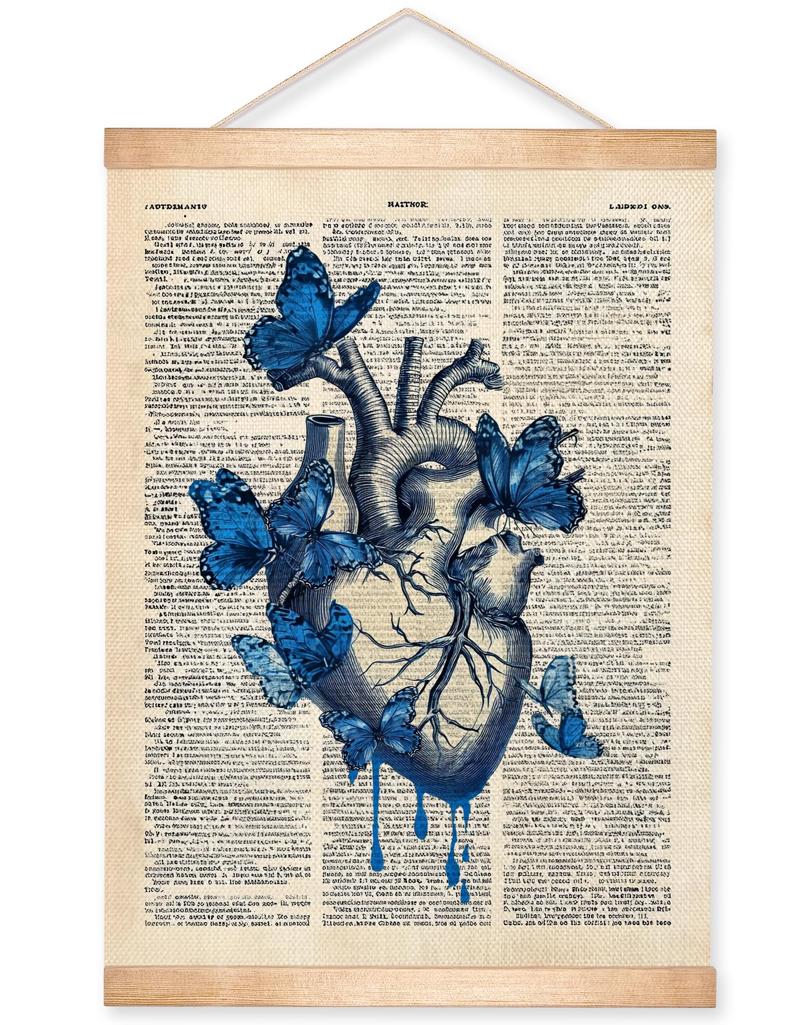 Gothic Anatomical Heart Butterfly Wall Art Review