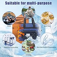 Vista 5 de Electric Cooler Bag, Portable Electric Cooler, Foldable Heater Bag, Powered 12 Volt AC/DC Compatible, for Cooling Pre-Cooled Food & Drinks