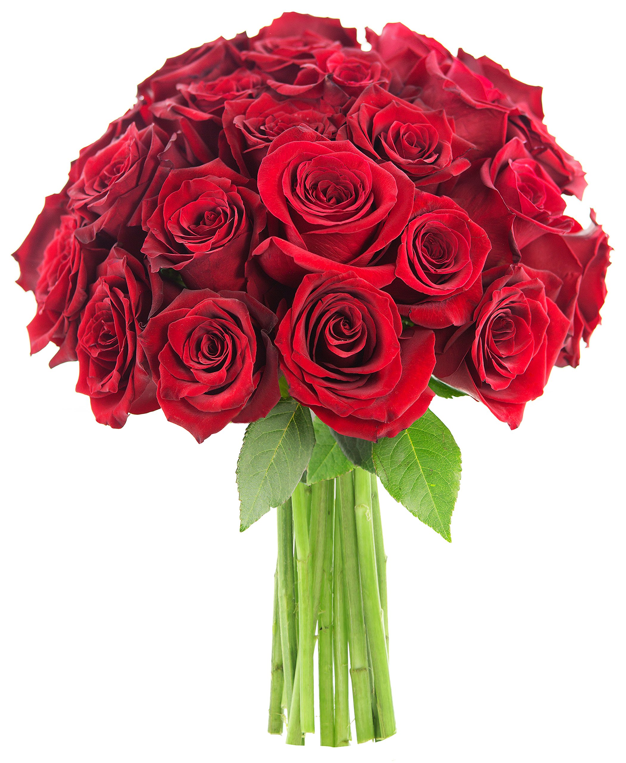Bouquet of Long Stemmed Red Roses (Two Dozen) - The KaBloom Collection Flowers Without Vase