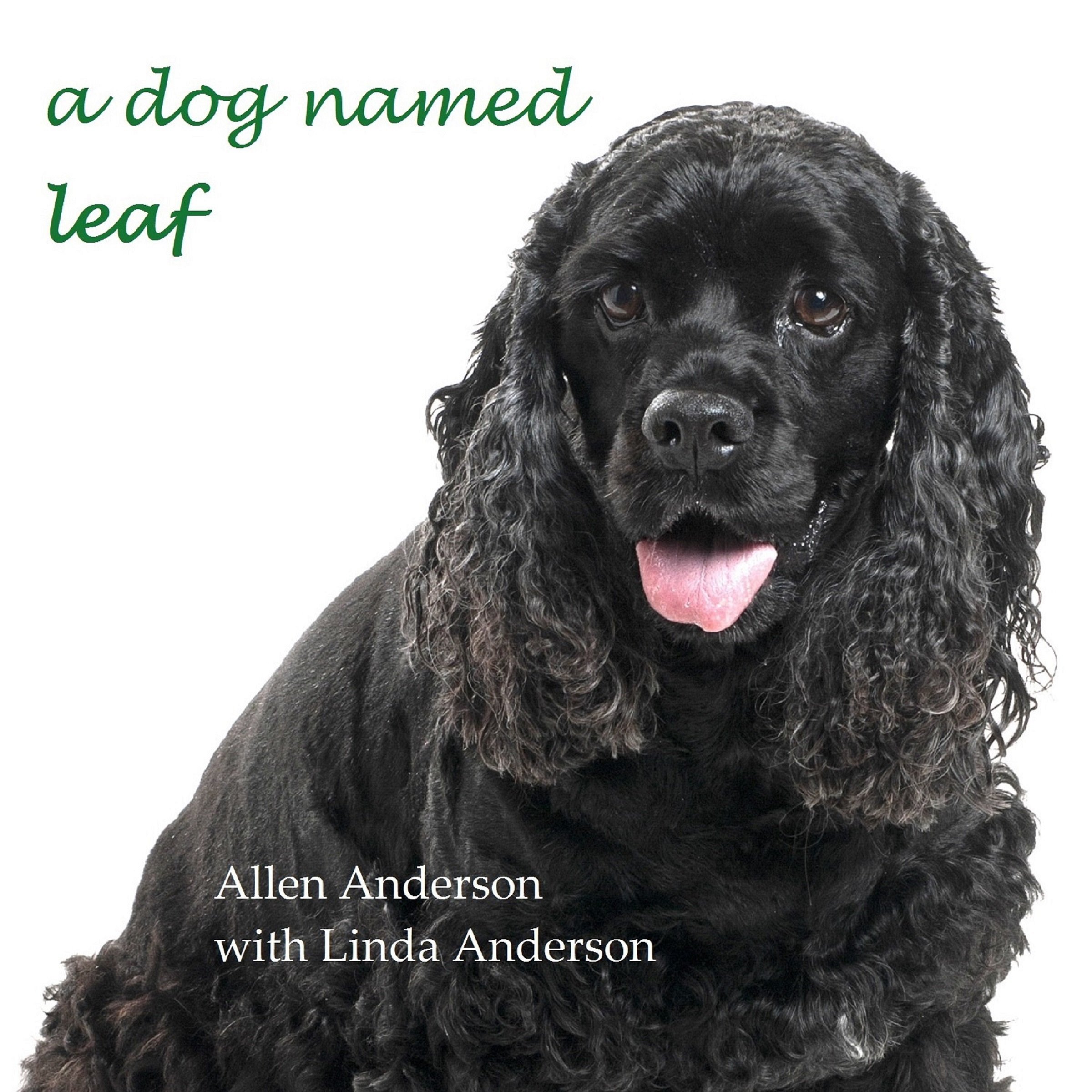 Cover art for A Dog Named Leaf: The Hero from Heaven Who Saved My Life