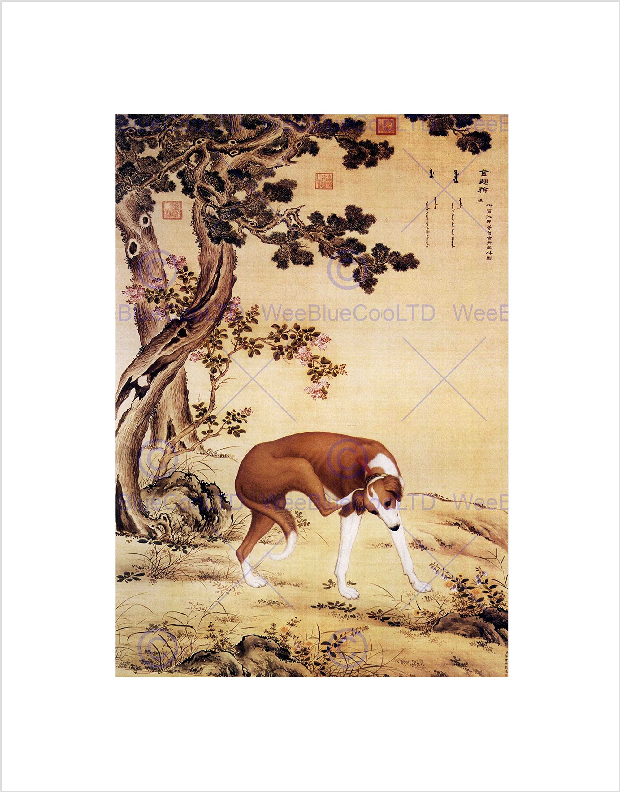Wee Blue Coo Animal Castiglione Prized Dogs Jinchixian Greyhound Wall Art Print