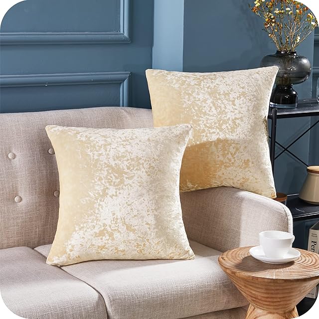 Amazon Brand - Umi Velvet Cushion Cover Light Beige 2 Pieces ; 24â x24âœ