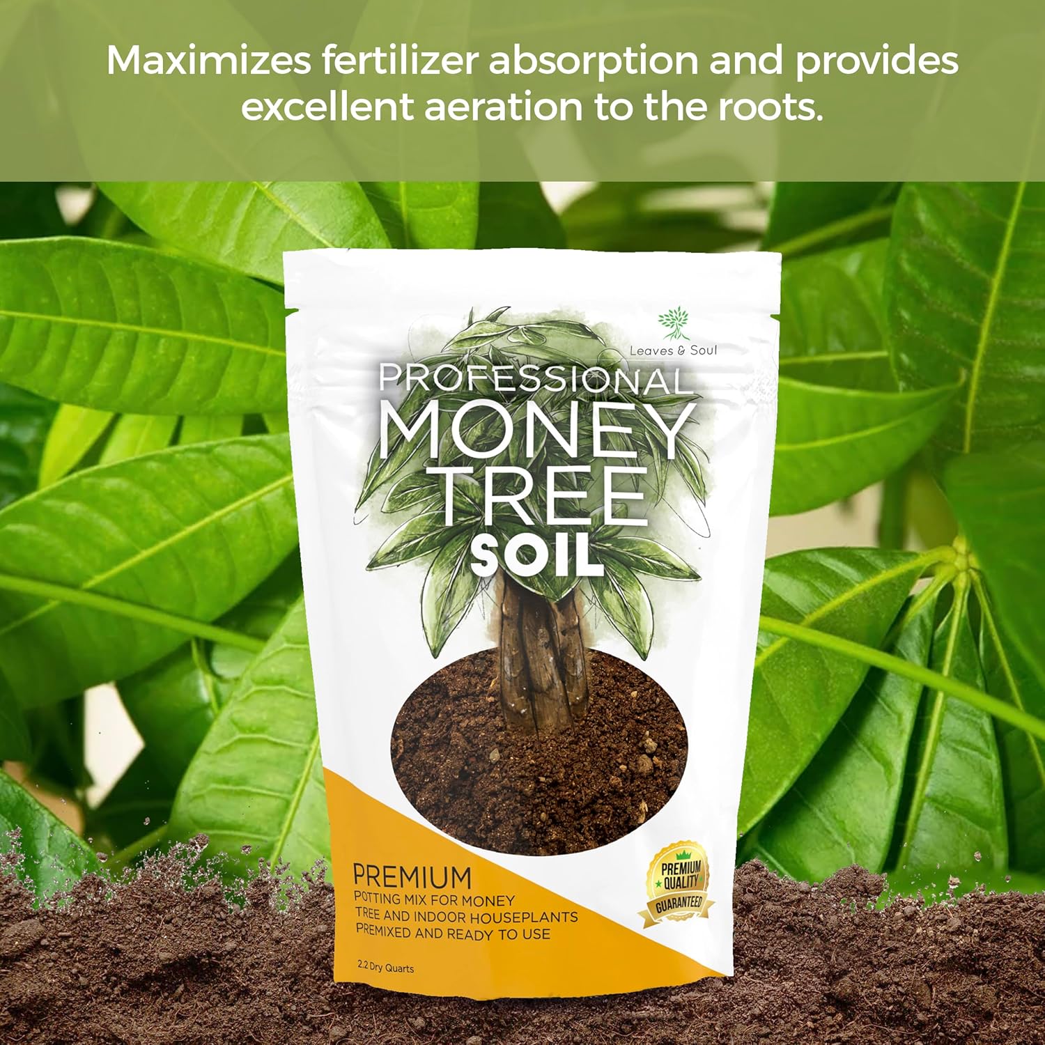 Professional Money Tree Soil | Large 2.2 Quarts Ready to Use for Money Tree Plants | Peat Moss, Coco Coir, Perlite, Dolomite | Made in USA - Image 3