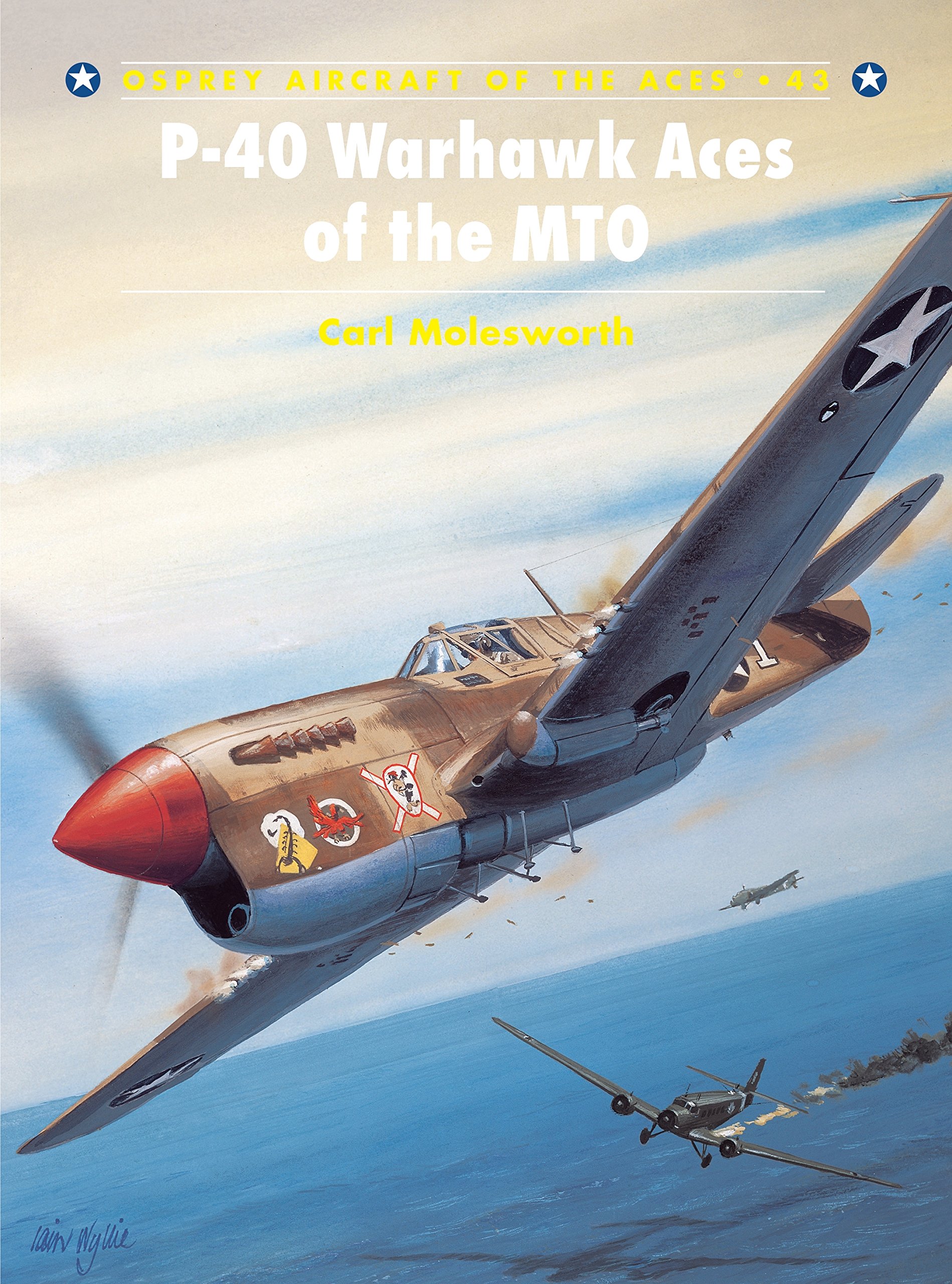 P-40 Warhawk Aces of the MTO: 43 (Aircraft of the Aces)