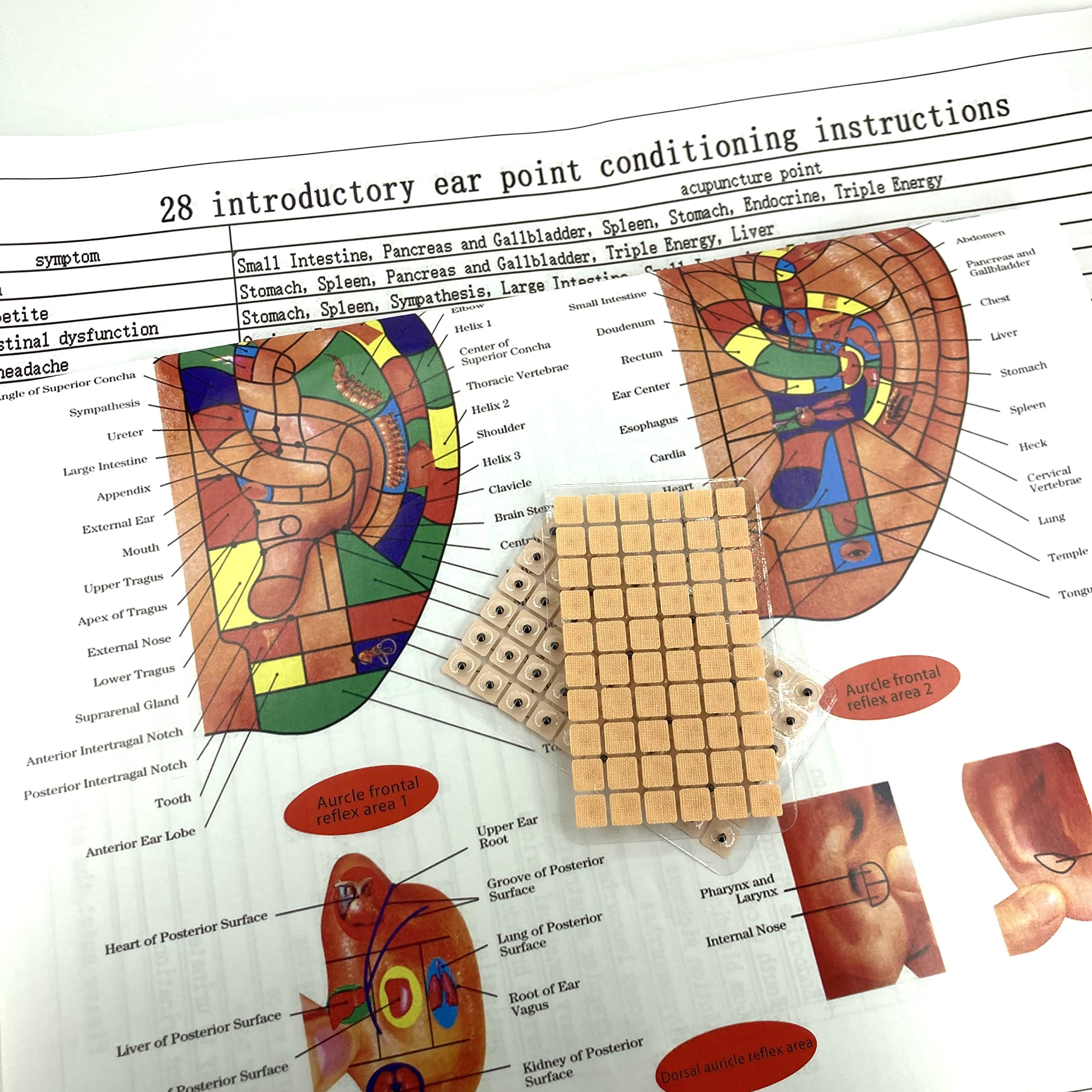 Multi-Condition Ear Seeds Acupuncture Kit 600 Counts, Give Away Acupressure Ear Chart