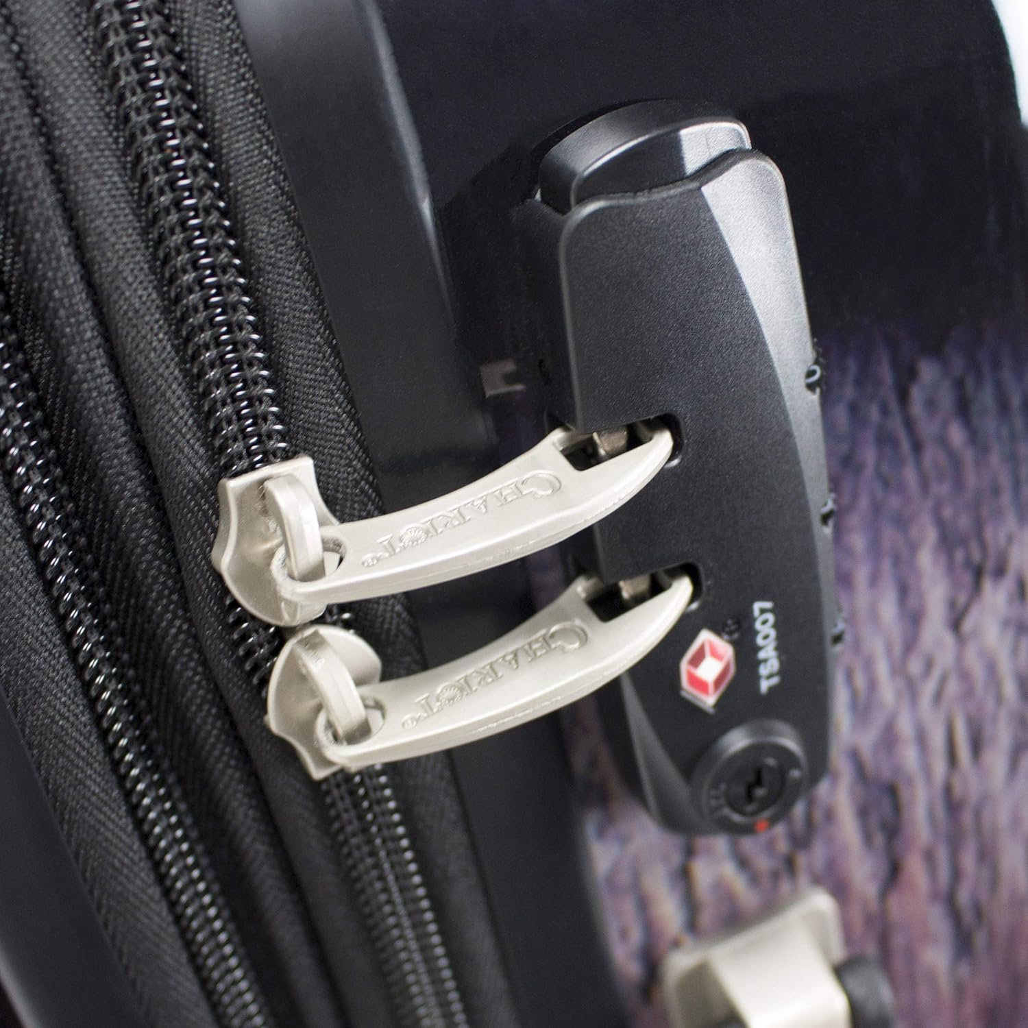 review Chariot Printed Expandable Hardside Spinner Luggage Set, Freedom Pups, 3-Piece (20/24/28)