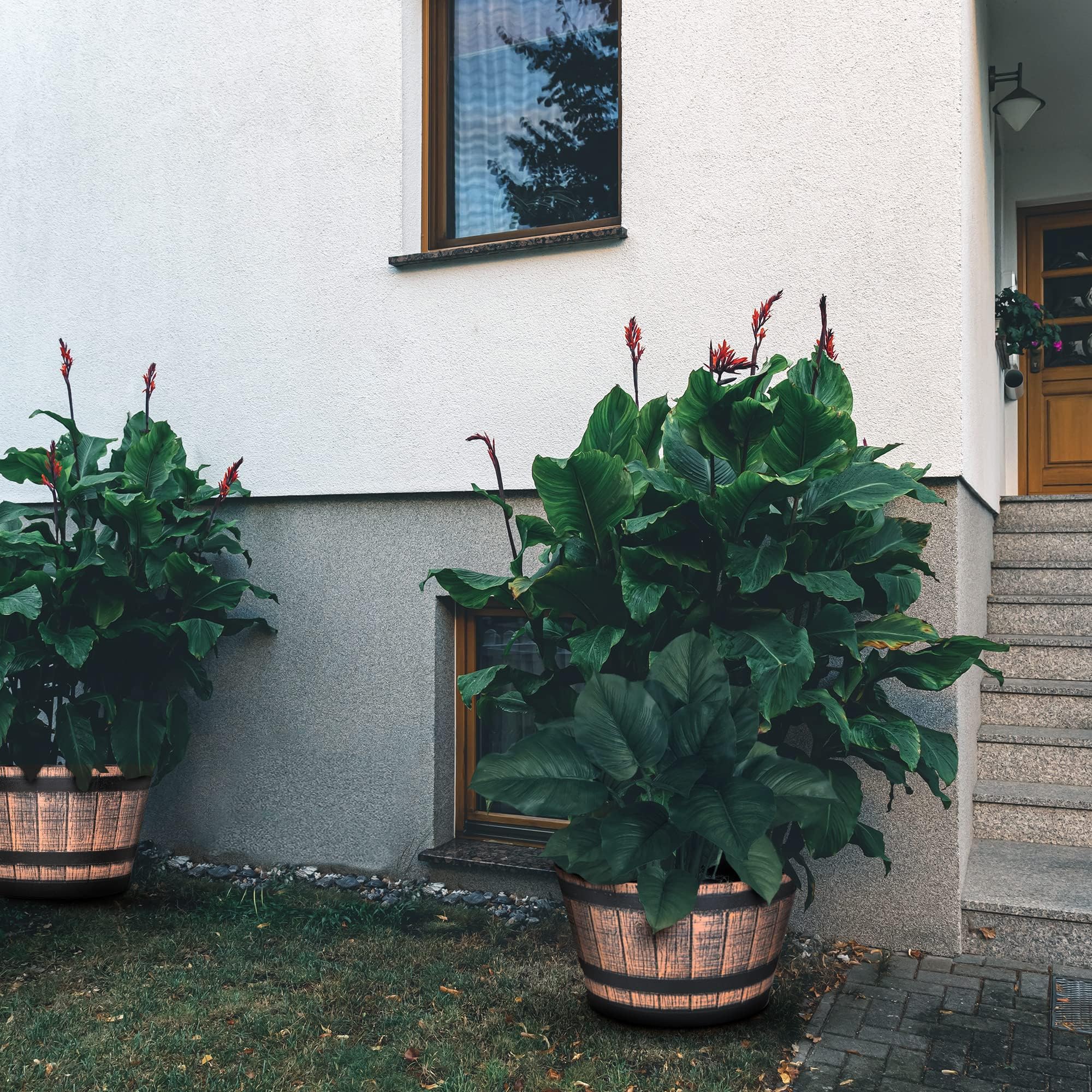 SG Traders Large Half Barrel Cask Planter, Indoor Plant Pot with Drainage Holes, Flower Pots Outdoor Garden Planters - Image 5
