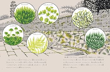 914lAfUxAmL._AC_UF350,