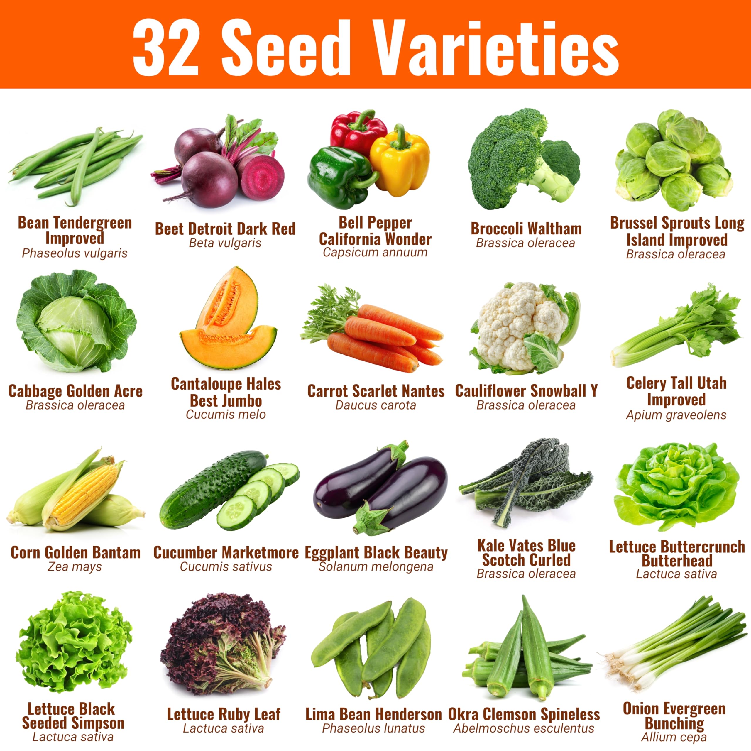 32 Vegetable Seeds - Grow Your Own! -2 32 Vegetable Seeds - Grow Your Own! -2