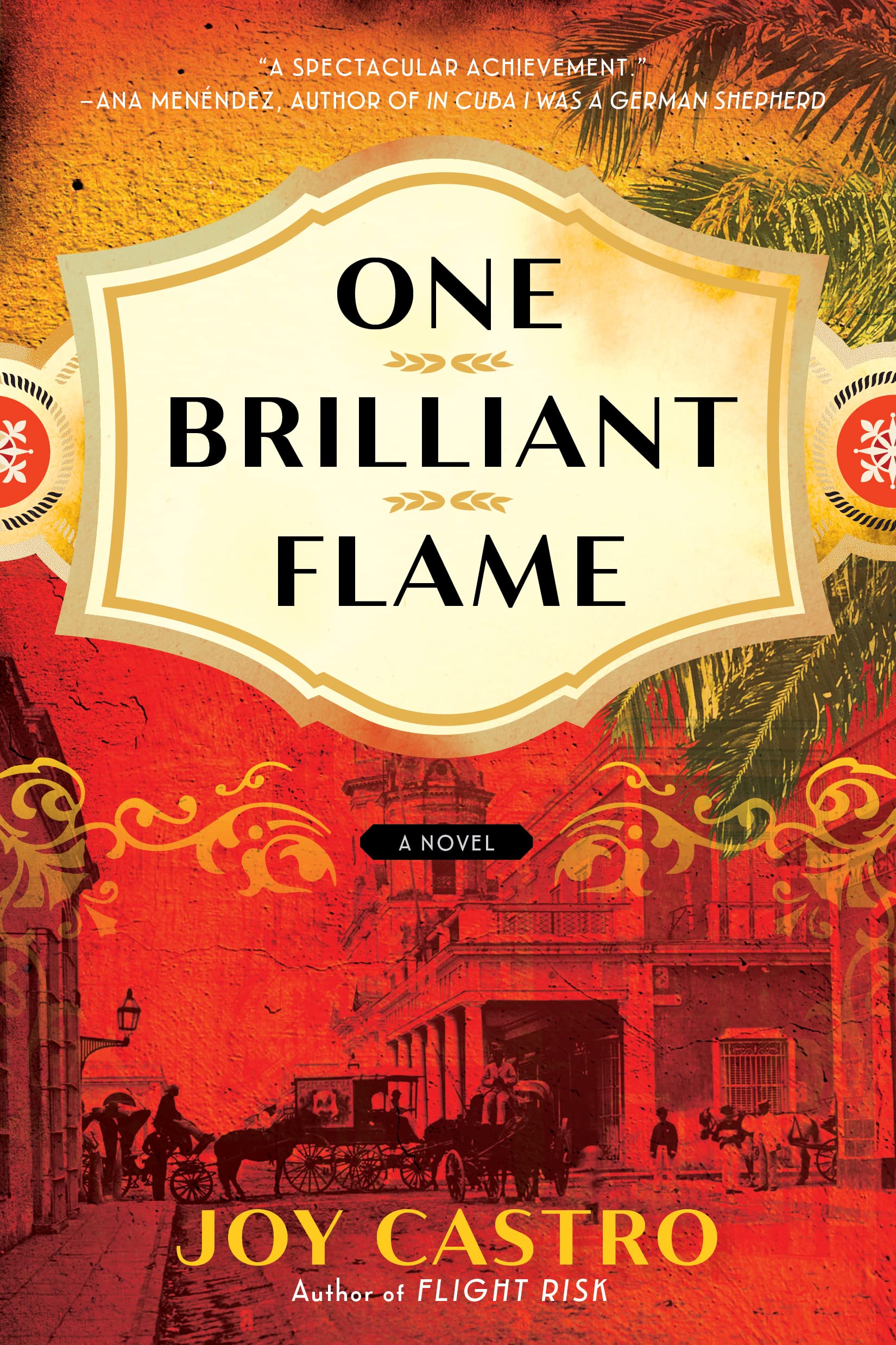 One Brilliant Flame: A Novel (English Edition)